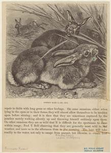 Image ID 823441
