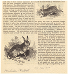 Image ID 823442