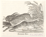 Image ID 823443