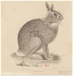 Image ID 823445