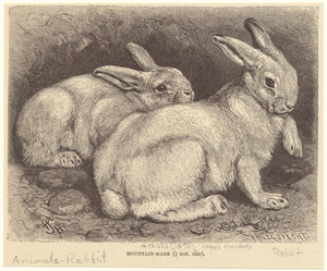 Image ID 823450
