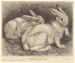 Image ID 823450