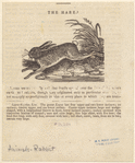 Image ID 823454