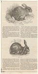 Image ID 823457