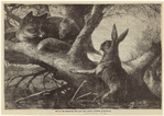 Image ID 823458