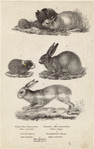 Image ID 823461