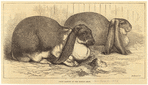 Image ID 823462