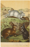 Image ID 823463