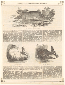 Image ID 823464