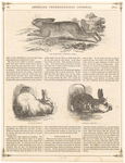 Image ID 823464
