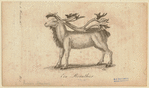 Image ID 823466