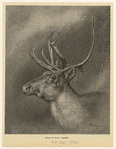 Image ID 823467