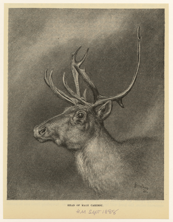 Image ID 823467
