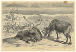 Image ID 823469