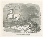 Image ID 823476