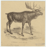 Image ID 823478