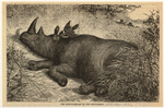 Image ID 823481