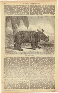 Image ID 823486