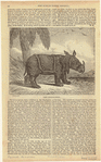 Image ID 823486