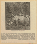 Image ID 823493