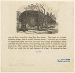 Image ID 823495