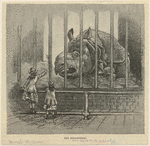 Image ID 823497