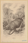 Image ID 823499