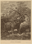 Image ID 823504