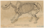 Image ID 823507