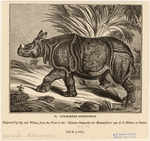 Image ID 823509