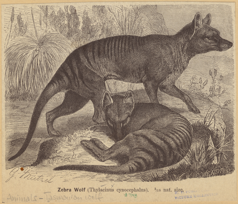 Image ID 823518
