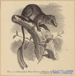 Image ID 823520
