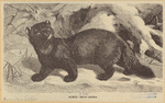 Image ID 823525