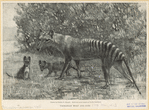 Image ID 823531