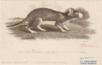 Image ID 823533