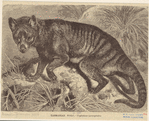 Image ID 823534