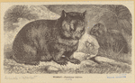 Image ID 823537