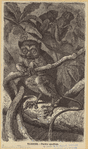 Image ID 823538