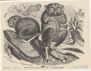 Image ID 823539
