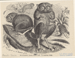 Image ID 823539