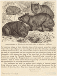 Image ID 823543