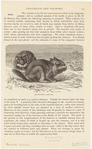 Image ID 823544