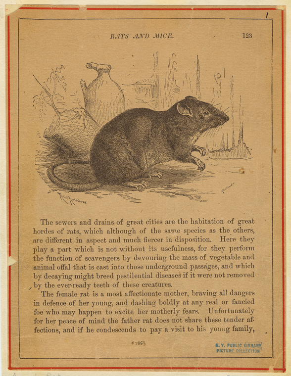 Image ID 823549
