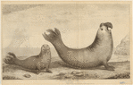 Image ID 823556