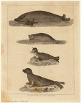 Image ID 823558