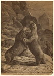 Image ID 823559