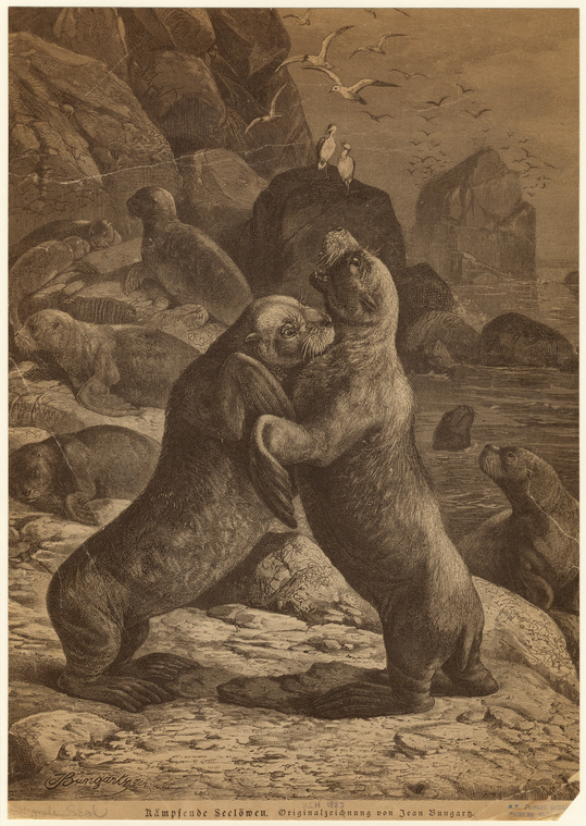 Image ID 823559
