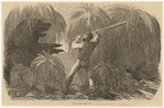 Image ID 823560