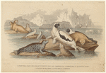 Image ID 823561