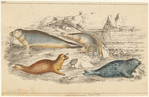 Image ID 823565